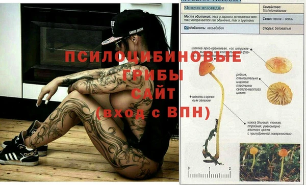 COCAINE Бородино