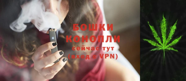 дурь Кедровый