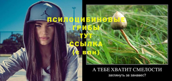 2c-b Бугульма