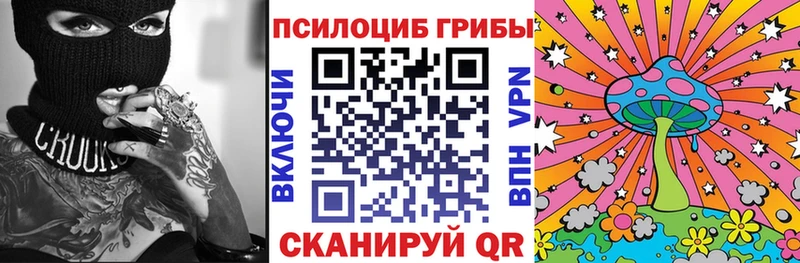купить наркотик  нарко площадка клад  Псилоцибиновые грибы прущие грибы  Ковылкино 